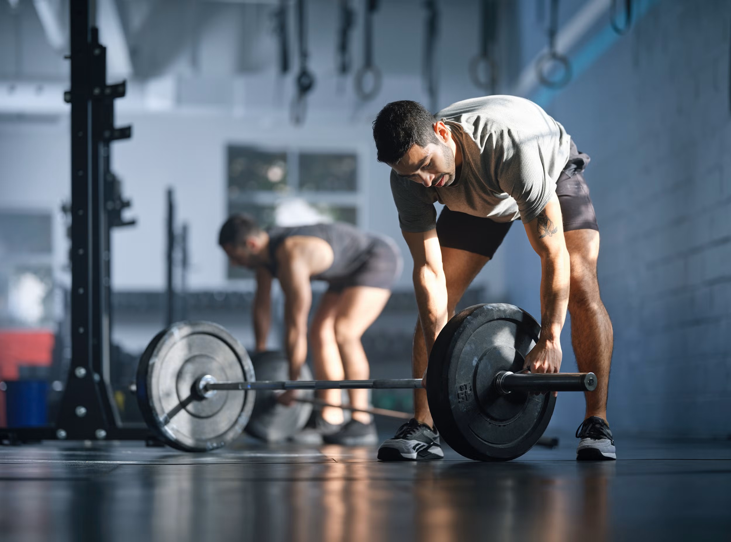 vivere la palestra