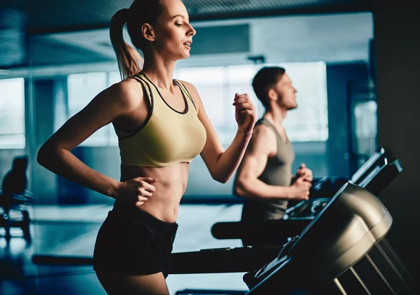 area cardio